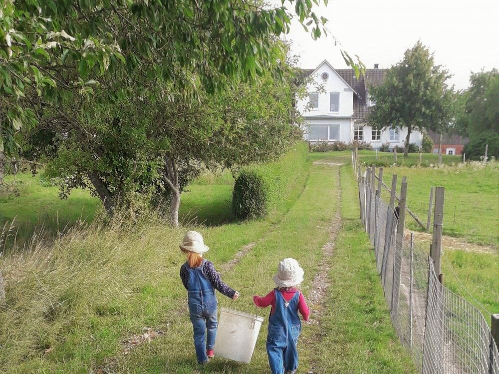 Bauernhof für 4 Personen in Kappeln, Kappeln & Umgebung