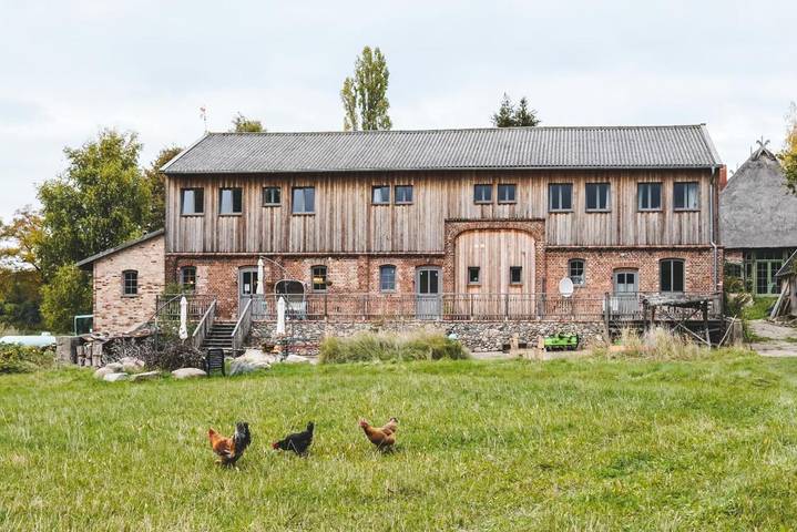 Ferienhaus für 4 Personen, mit Ausblick und Terrasse, mit Haustier im Klützer Winkel - 3