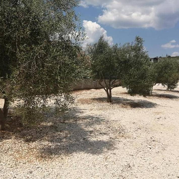 Camping pour 4 personnes, avec vue en Dalmatie - 2