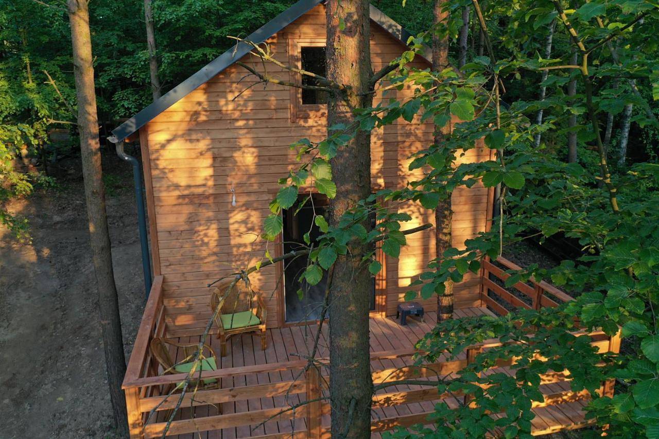 Lasoterapia (Foresttherapy) in Powiat wejherowski