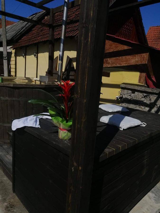 Gîte pour 2 personnes, avec piscine ainsi que jardin et vue en Roumanie - 3