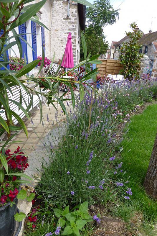 Les Nuages Bleus in Samois-sur-Seine, Seine-et-Marne