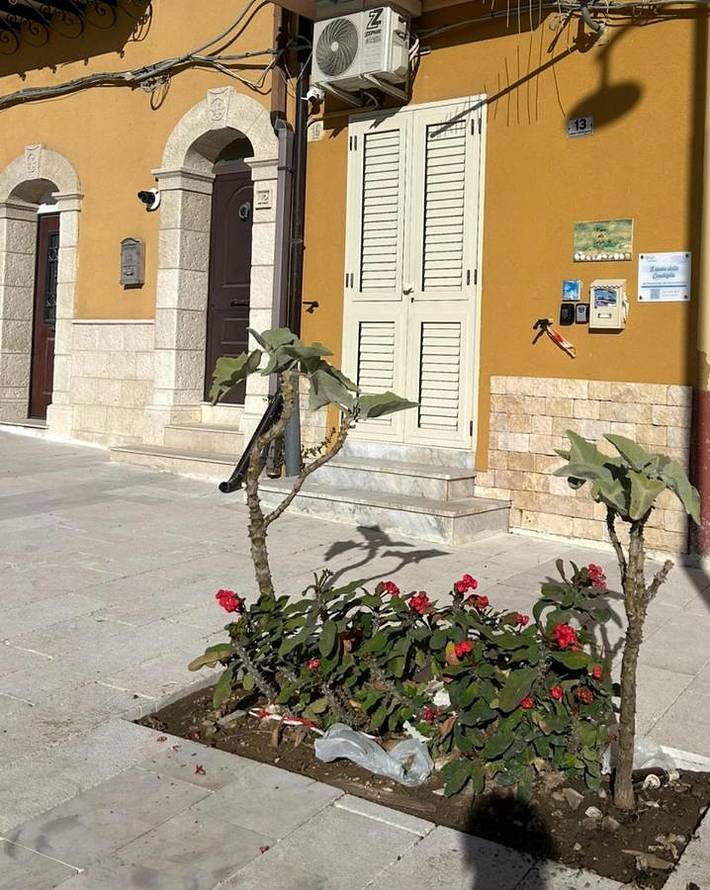 Maison d’hôte pour 3 personnes à Gela - 4