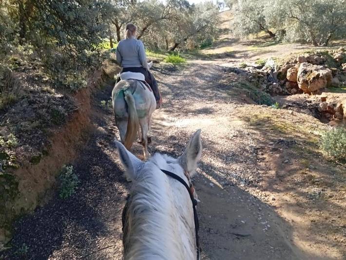 Casa rural para 2 personas, con piscina además de jardín y vistas, Se admiten mascotas en Loja - 3