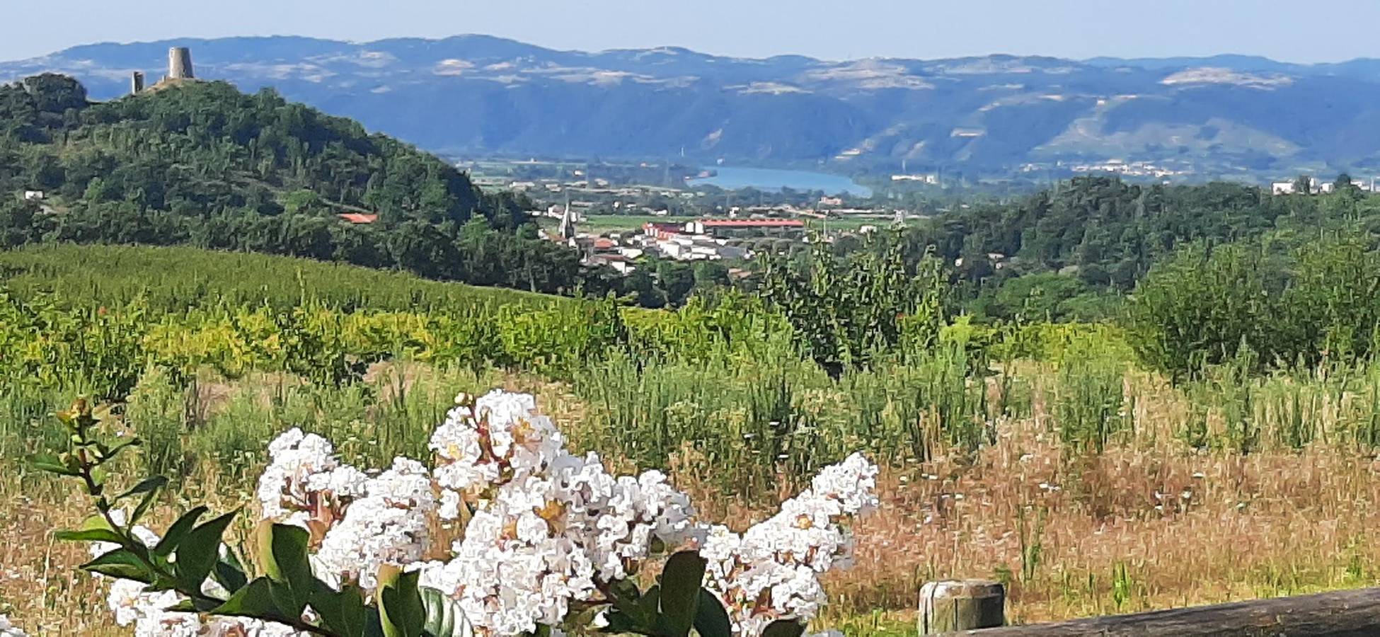 Casa vacanza a Drome a partire da 143€ a notte