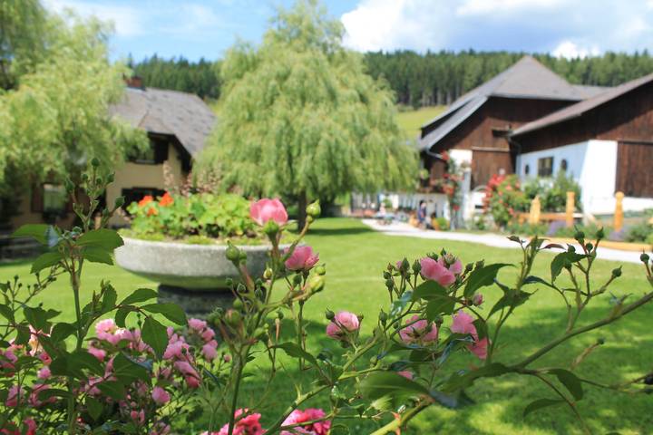 Ferienwohnung Baumwurzel (1-2 Nächte Nf) in Fischbach, Steirerland