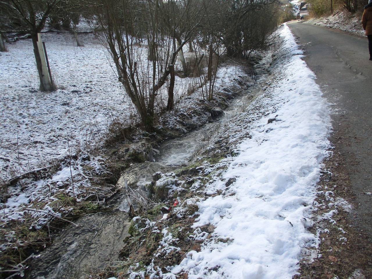 Ganze Ferienwohnung, Ferienwohnung Desmecke - Fewo Desmecke in Olsberg, Hochsauerlandkreis