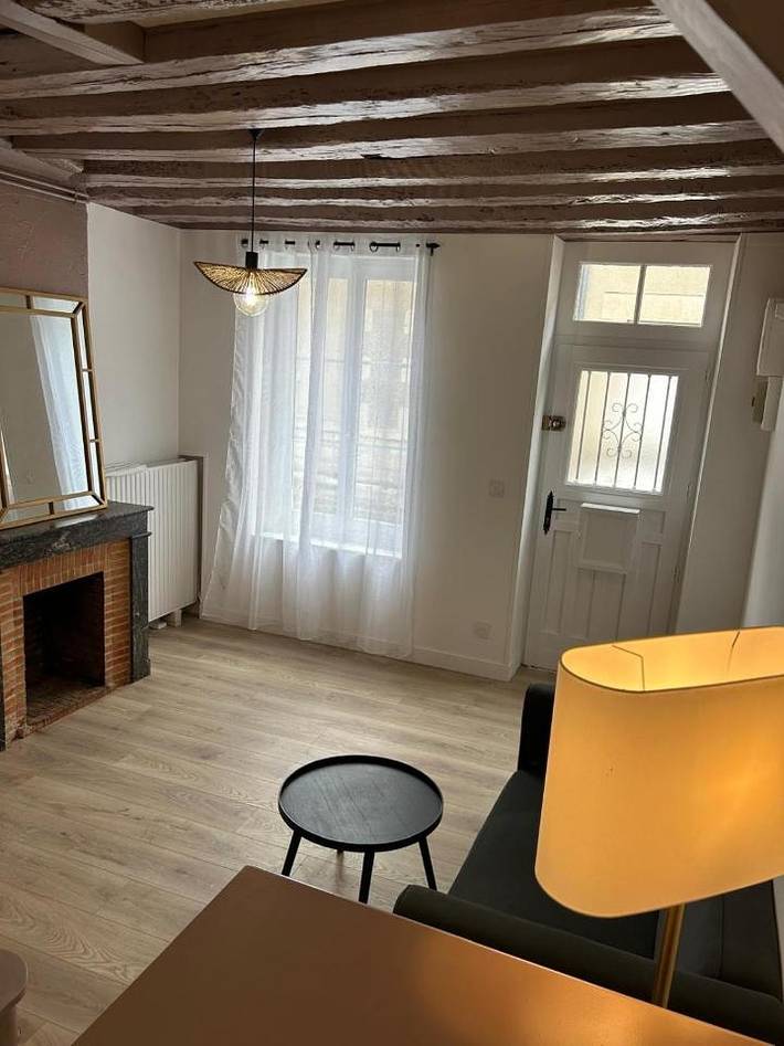Gîte pour 4 personnes, avec terrasse à Châteauneuf-sur-Loire - 3