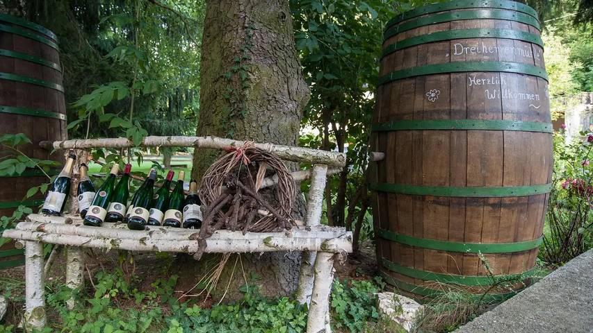 Ferienwohnung für 4 Personen, mit Garten in Zell (Mosel) - 4