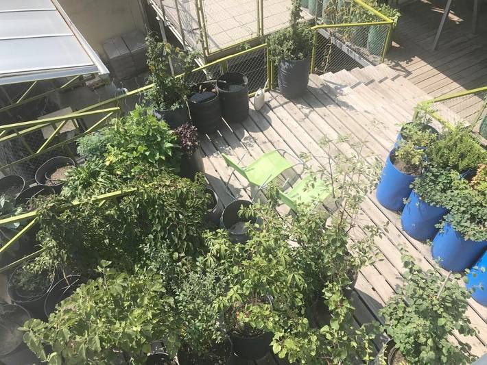 Chambre d’hôte pour 2 personnes, avec piscine ainsi que sauna et jardin, animaux acceptés à Vienne (Autriche) - 4