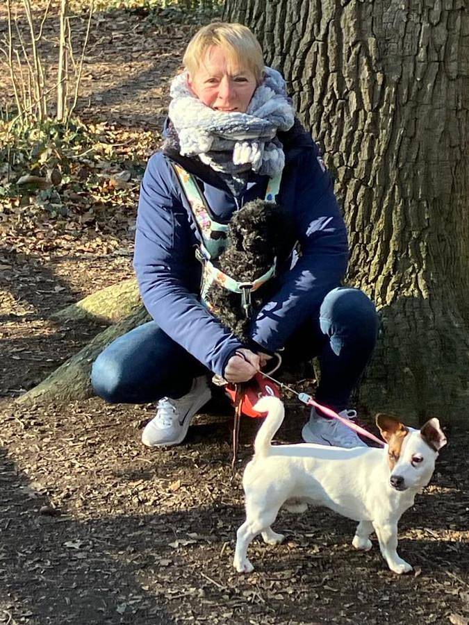 Location de vacances pour 2 personnes, avec terrasse et vue ainsi que vue sur le lac et jardin dans Westvleteren (bière) - 3