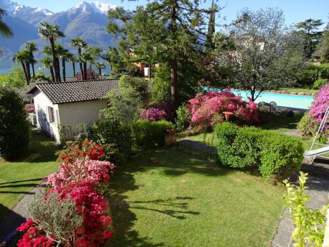 Öko-Haus B Schwimmbad Garten herrlicher Seeblick in Minusio, Tessiner Alpen