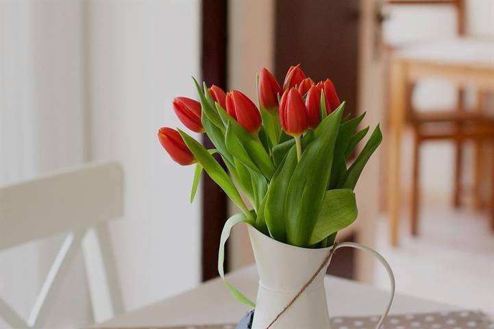 Ganze Ferienwohnung, Ferienwohnung Haus Süderdeich in Vollerwiek, Eiderstedt
