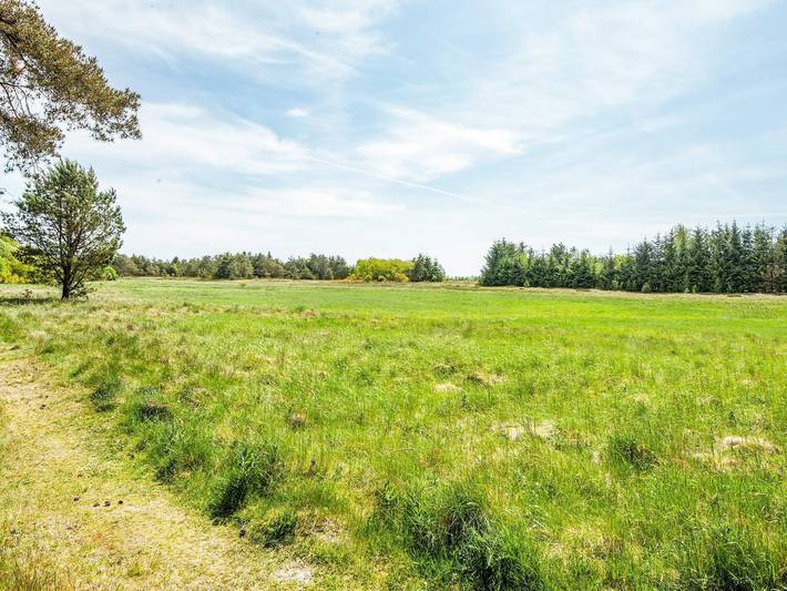 6 Personen Ferienhaus in Bording in Guldforhoved, Ikast-Brande
