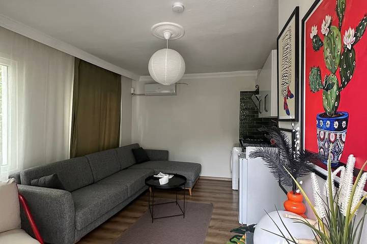Ganze Wohnung, Pergolavrbo Enes Ev in Ayvalık, Türkische Ägäis
