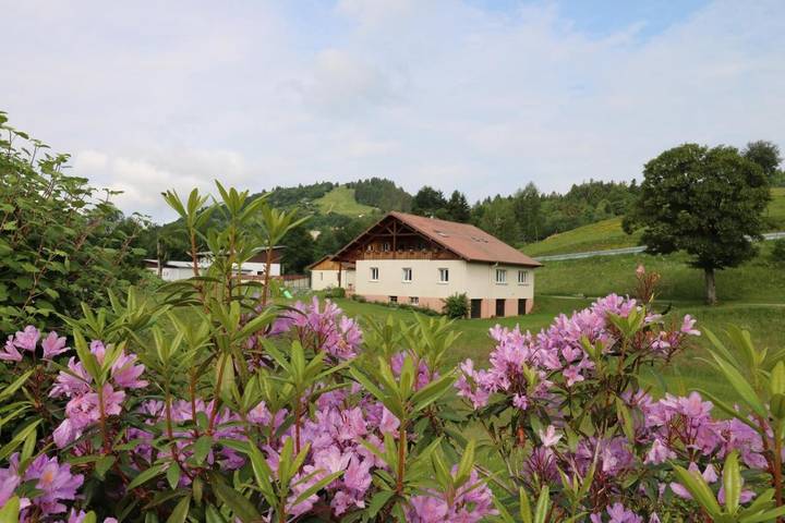 Maison d’hôte pour 3 personnes, avec vue et jardin dans La Bresse-Hohneck - 3