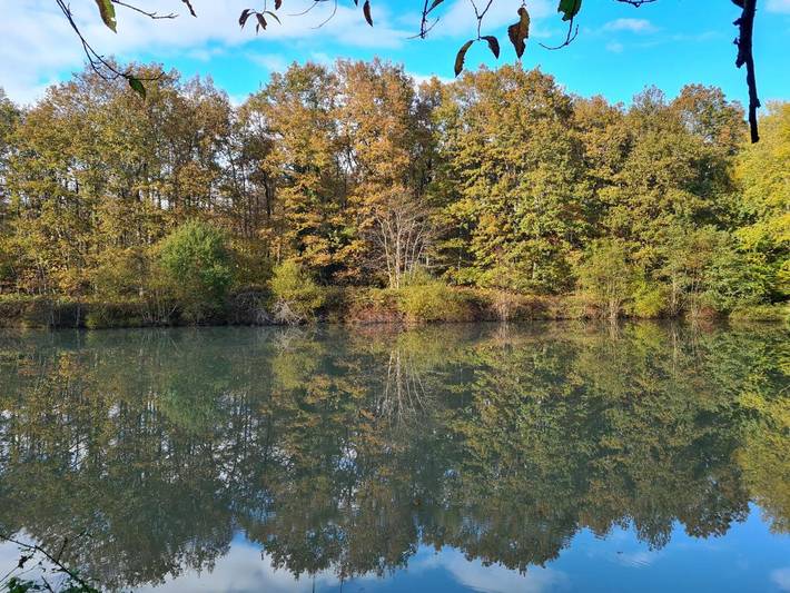 Location de vacances pour 14 personnes, avec vue sur le lac et jardin ainsi que vue et piscine à Mareuil-sur-Cher - 4