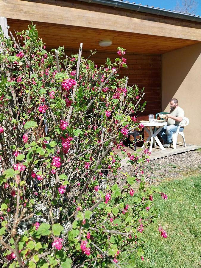 Gîte pour 4 personnes, avec terrasse ainsi que vue et jardin dans Mazaye - 4