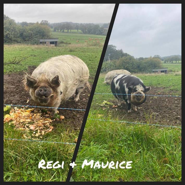 Location de vacances pour 2 personnes, avec vue et jardin à Arnac-la-Poste - 2