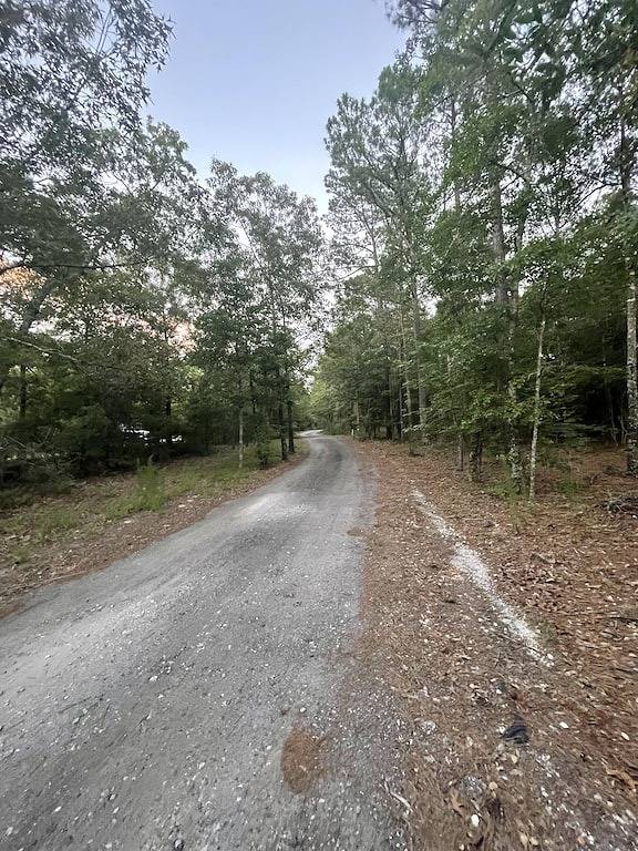 Secluded Tiny Home Only Minutes To ☀️ 🏝 Topsail Island, Nc 🏝☀️ in Pender County