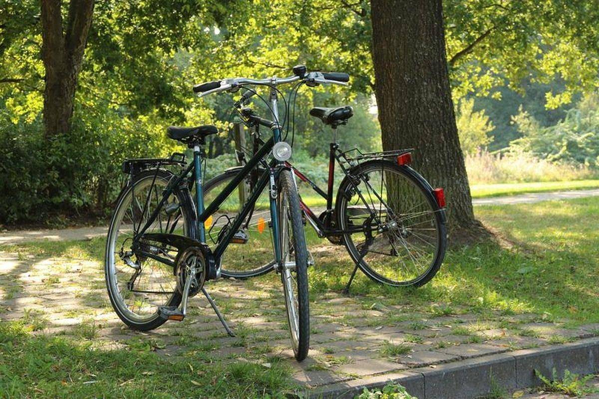 Ganze Ferienwohnung, Ferienwohnung Heide-Shakti in Hermannsburg, Naturpark Südheide