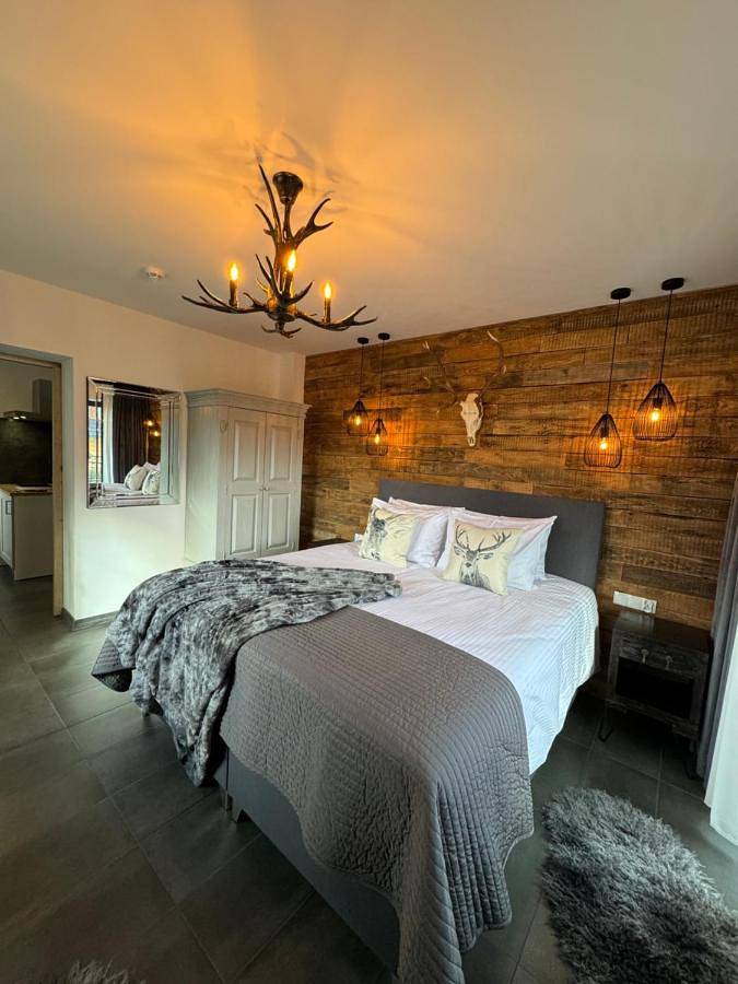 Framptons Apartments Garden & Spa - Dla dorosłych i dzieci 12 plus - Adults and children 12 plus in Murzasichle, Karpaty (Polska)