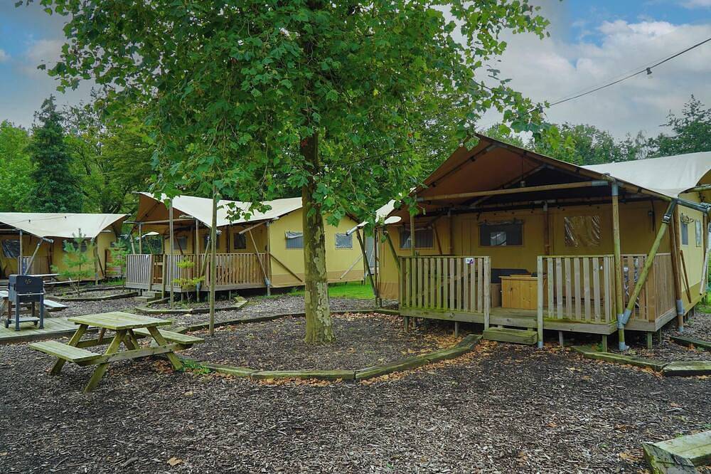 Glamping tent with 3 bedrooms and a terrace in Nordholland
