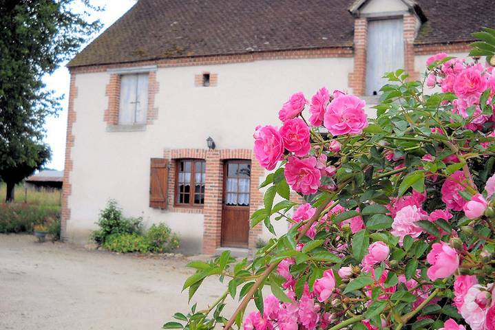 Gîte pour 3 personnes, avec piscine ainsi que jardin et terrasse, animaux acceptés