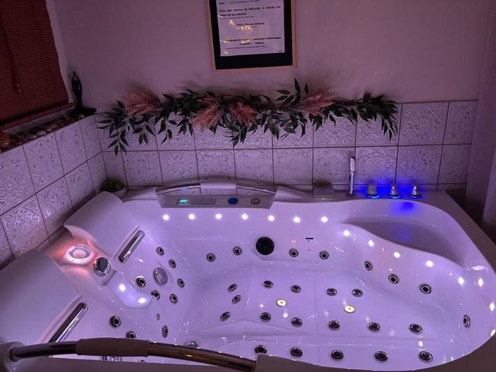 Location de vacances pour 4 personnes, avec jardin et jacuzzi à Theizé - 2