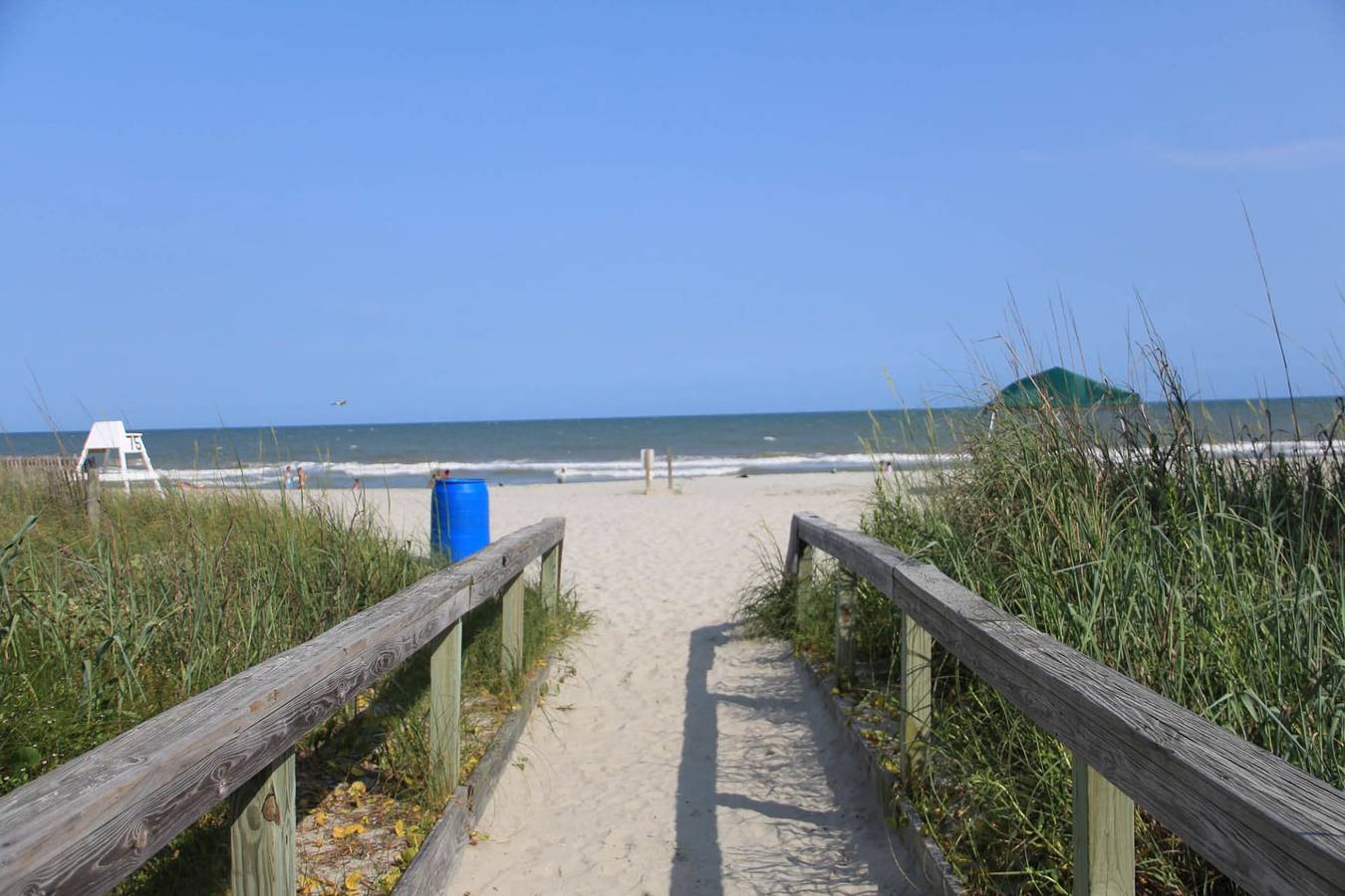 Entire studio, Jade Tree Cove Resort in Myrtle Beach, Grand Strand