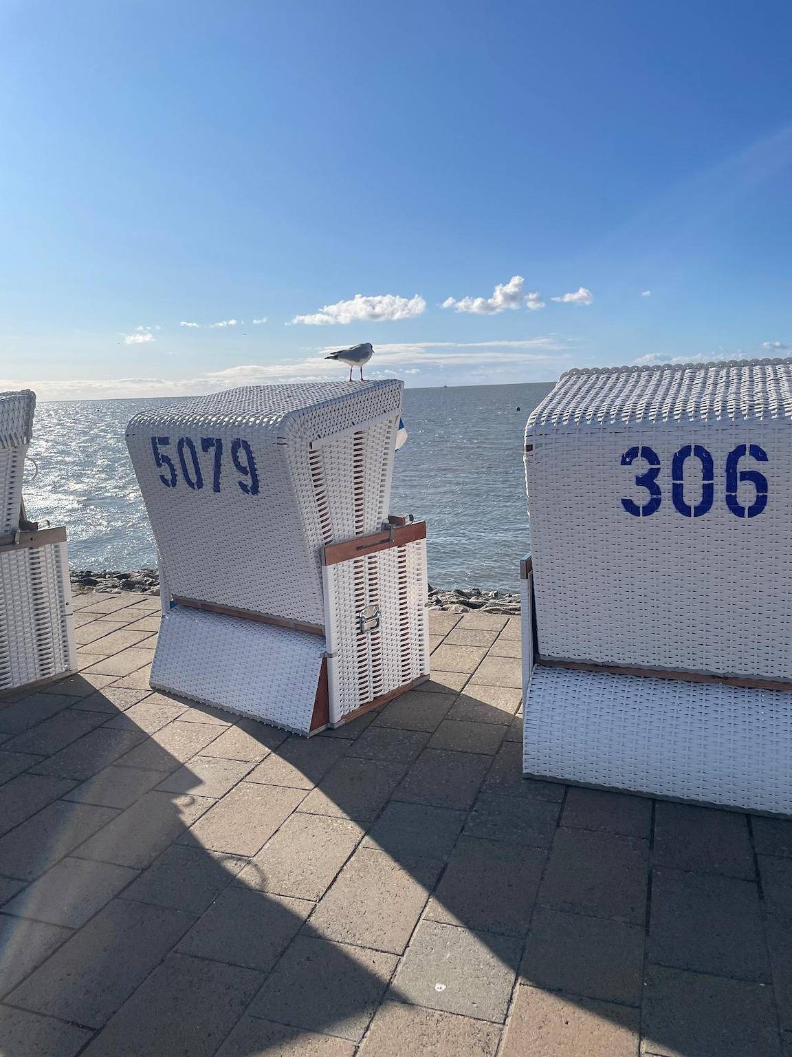 Ganze Ferienwohnung, Hochhaus - 2-Raum-Fewo Dünenrose in Büsum, Nordseeküste