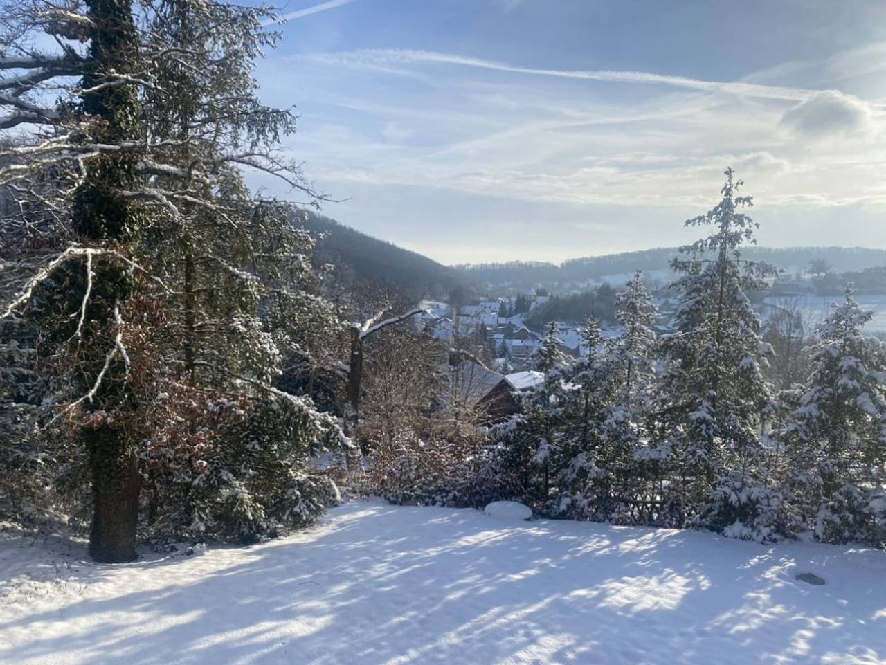Blockhaus - Doppelzimmer (Appartement 3) in Sangerhausen, Harzvorland