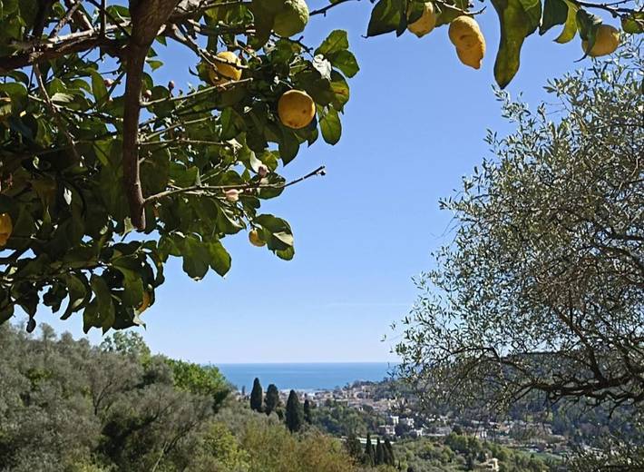 Maison d’hôte pour 2 personnes, avec jardin à Région de Rapallo - 4