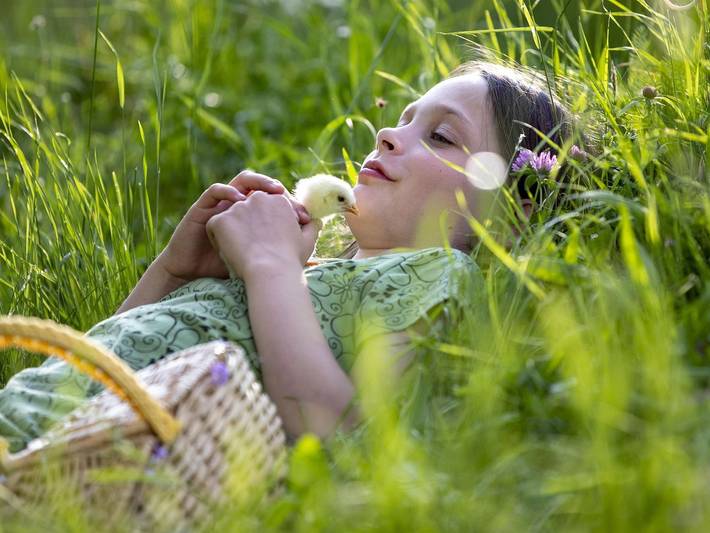 Ferienhaus für 4 Personen, mit Terrasse und Garten, kinderfreundlich in Murau - 2
