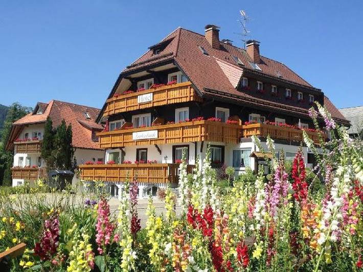 Hotel, mit Balkon/Terrasse und Terrasse in Hinterzarten
