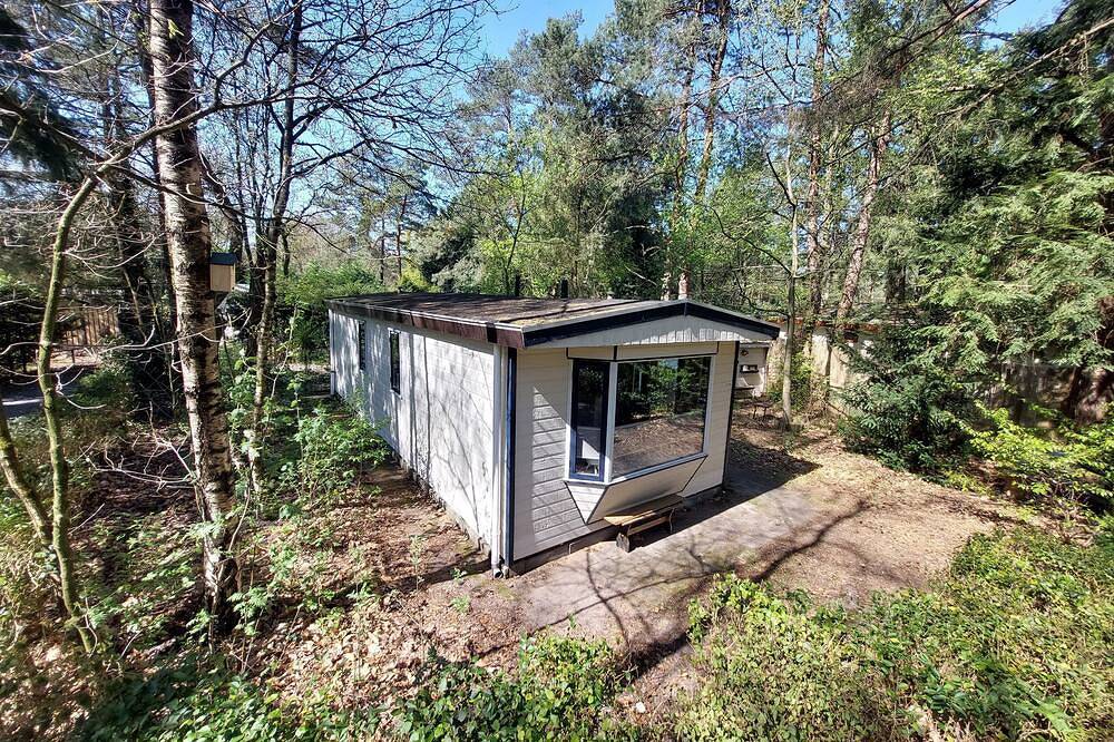 Forest cottage Dennenrust on the Veluwe in Hattemerbroek. Pets are welcome! in Veluwe