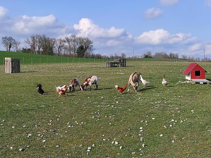 Location de vacances pour 17 personnes, avec vue et piscine ainsi que vue sur le lac et jardin à Mailhoc - 4
