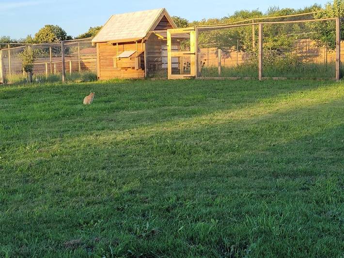 Location de vacances pour 4 personnes, avec jardin ainsi que piscine et vue, animaux acceptés à La Chapelle-Aubareil - 2