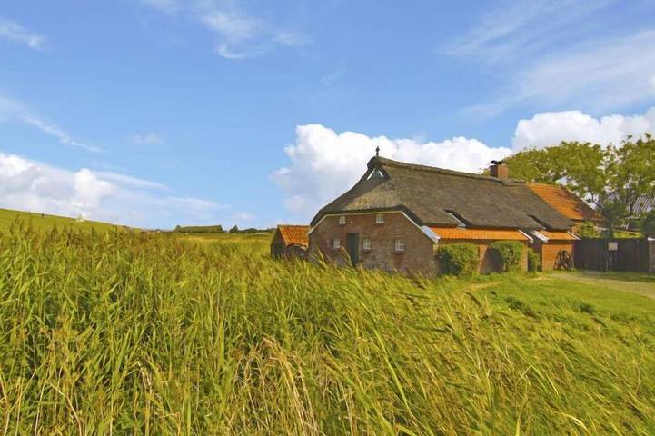 Ferienhaus für 2 Personen, mit Terrasse, mit Haustier - 1