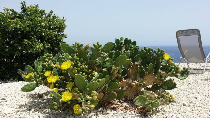 Gîte pour 2 personnes, avec vue et jardin à Acireale - 3