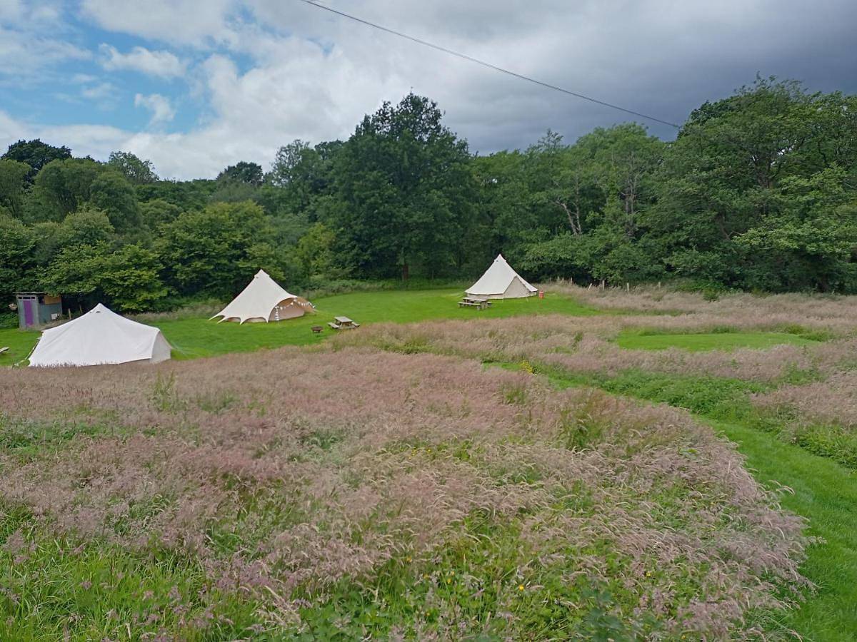 Oak Tree Farm in Carmarthenshire
