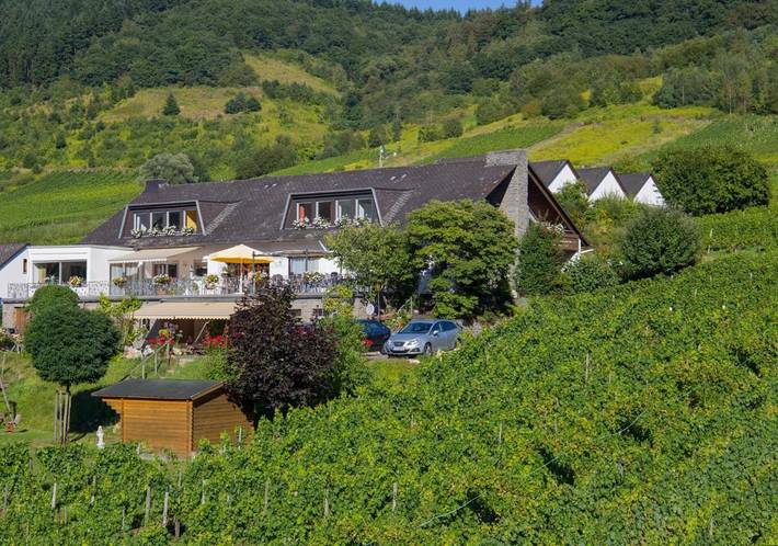 Ferienwohnung für 2 Personen, mit Balkon und Terrasse sowie Garten und Ausblick in Burg (Mosel)