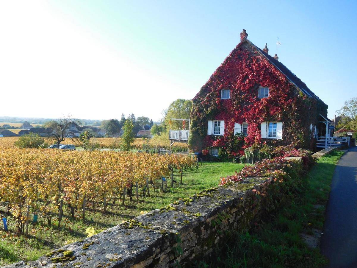 Double Room in Aloxe-Corton, Région de Beaune