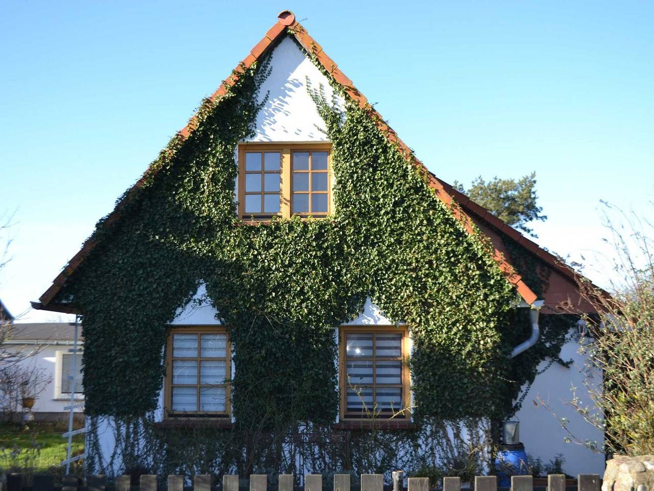 Ganze Ferienwohnung, Ferienhaus Butje in Hiddensee, Ostseeinseln
