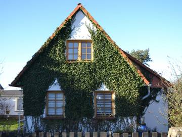 Ferienwohnung für 4 Personen, mit Garten auf Hiddensee