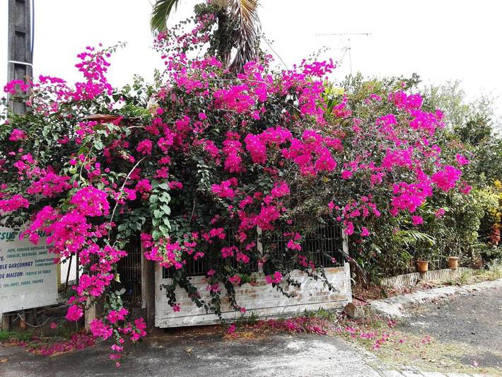 Gîte pour 2 personnes, avec vue et jardin à Le Robert - 2