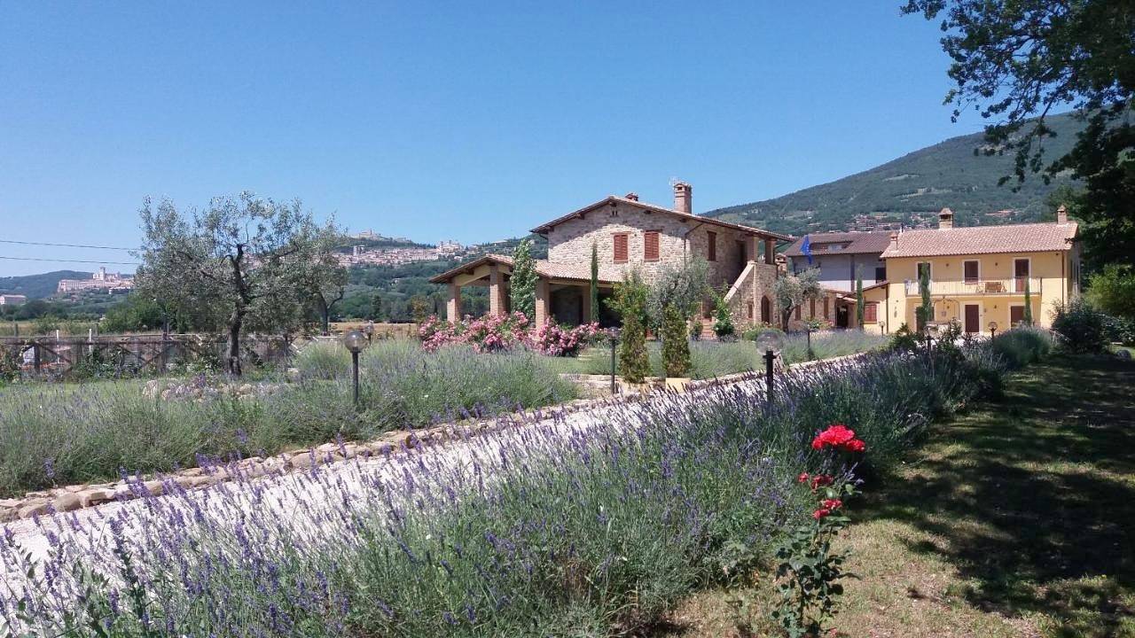 Sulla Strada di San Francesco in Assisi, Perugia e dintorni