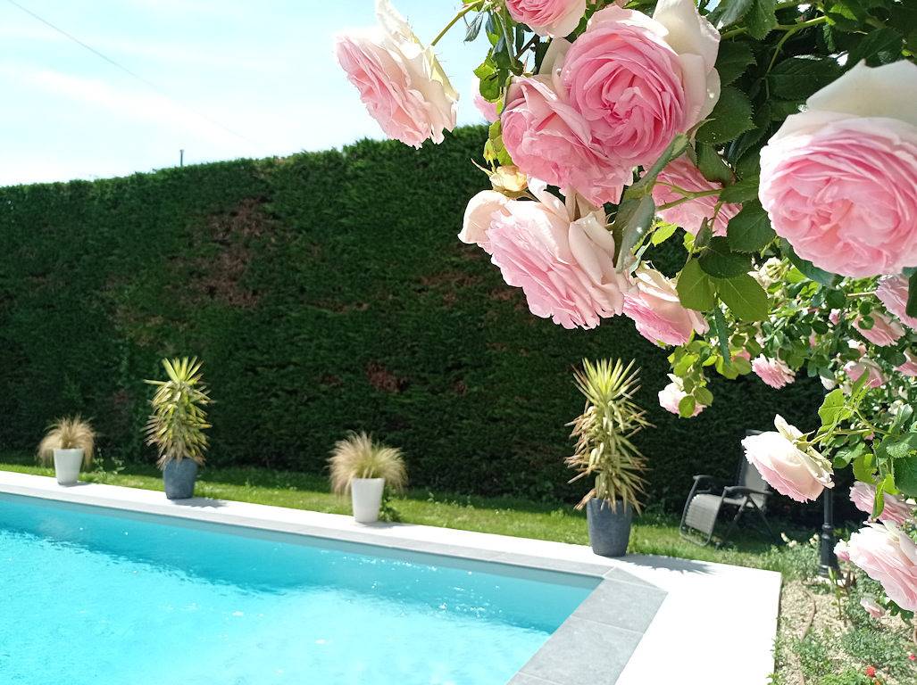 Le Magnolia - Chambre l'Orée du Bois in Valréas, Enclave de Valreas