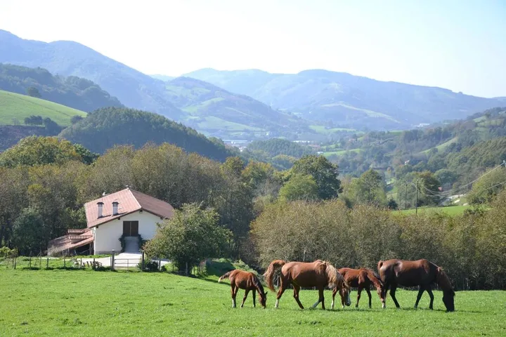 Casa de vacaciones para 12 personas, con jardín y vistas, Se admiten mascotas - 1