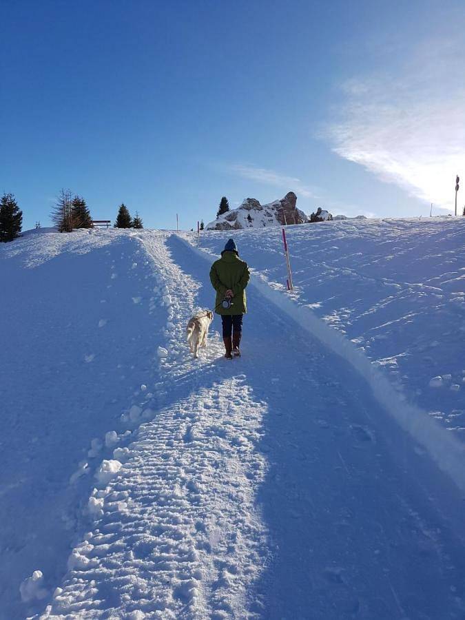 Apartment (4-6 Adults) in Lechtaler Alpen, Lech am Arlberg
